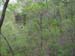 images0034